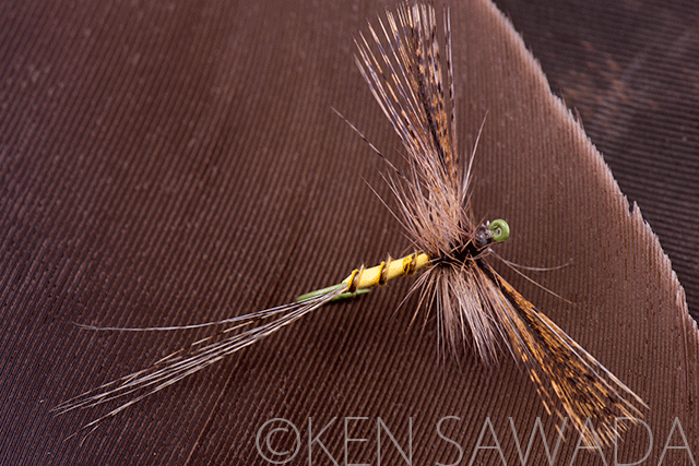 Yellow Speckled Spinner