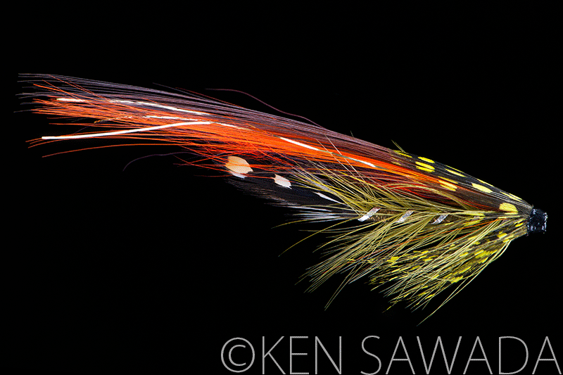 Olive Wasp Shimmer