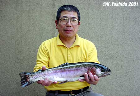 Koichi Yoshida Rainbow Trout