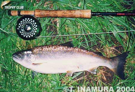 Takahiro Inamura Amago Trout