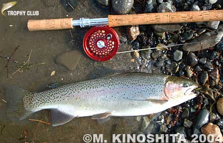 Masatoshi Kinoshita Rainbow Trout