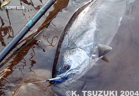 Kenro Tsuduki Cherry Salmon