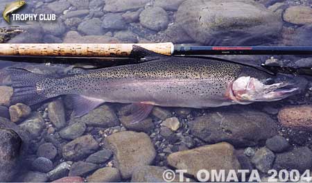 Takayuki Omata Rainbow Trout