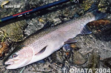 Takayuki Omata Rainbow Trout