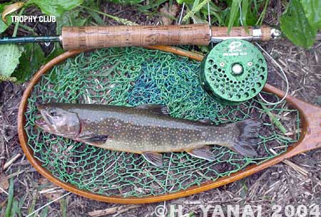 Hiroshi Yanai Brook Trout