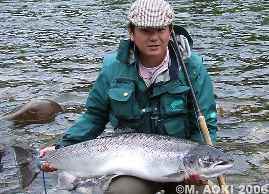 Masahito Aoki Atlantic Salmon