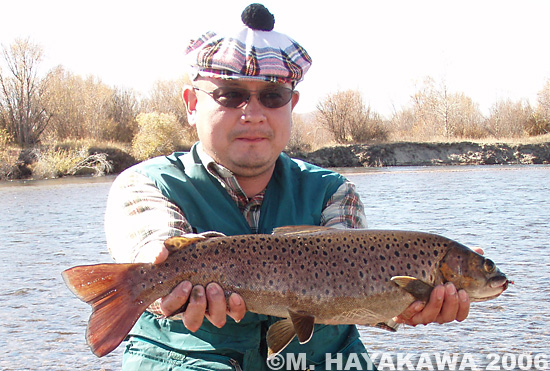 Masaya Hayakawa Taimen and Amour Trout