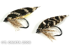 t.omata