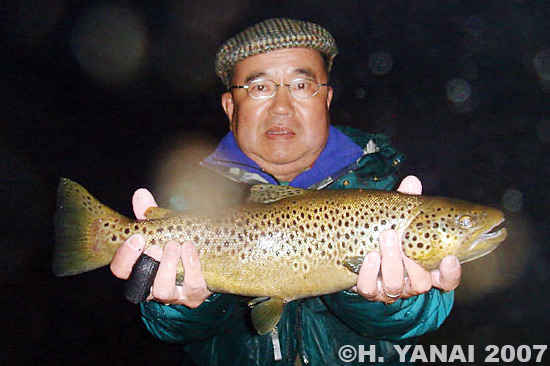 Hiroshi Yanai Brown Trout