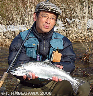 hasegawa