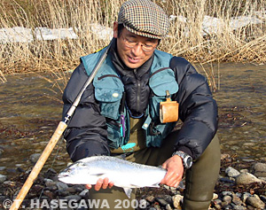 hasegawa