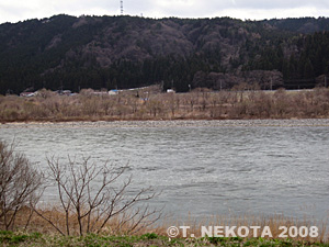 nekota2008