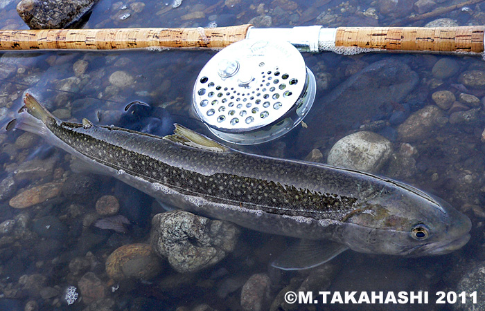 Masakazu Takahashi Char