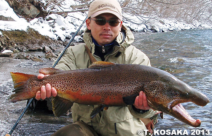 Tomonori Kosaka Brown Trout