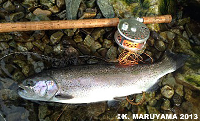 Keiji Maruyama Rainbow Trout