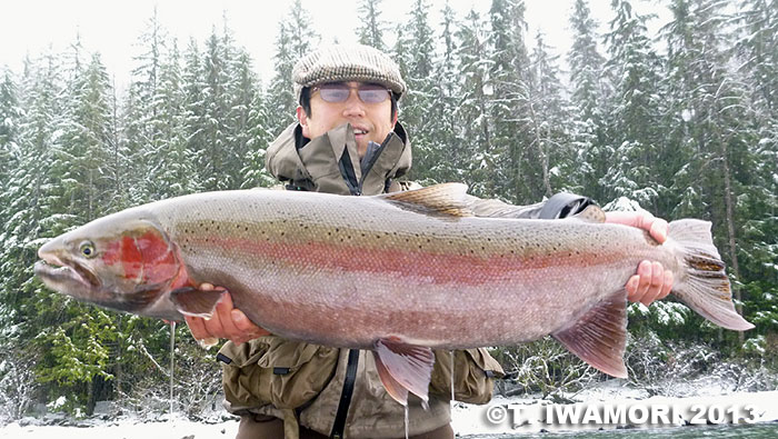 Takashi Iwamori Steelhead Trout