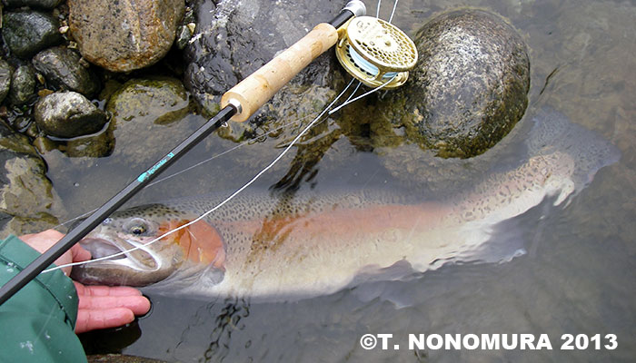 Takeshi Nonomura Rainbow Trout, Yamame Trout and Chum Salmon