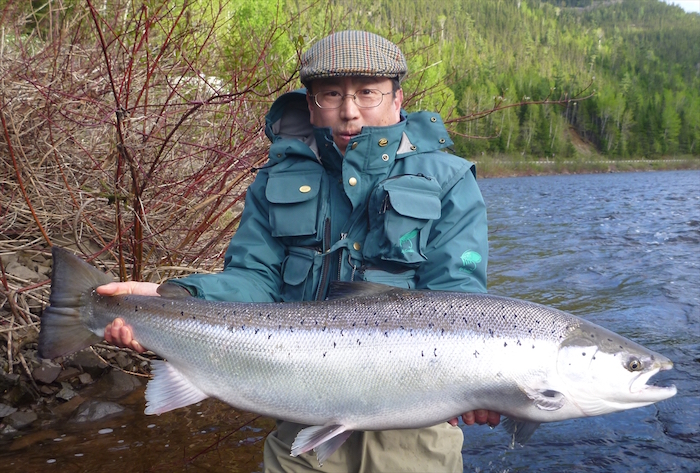 Takashi Iwamori Atlantic Salmon